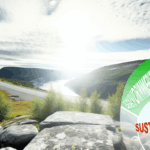 Keberadaan Melestarikan Lingkungan Padang Lamun: Aspek Penting Sustainability Laut di Indonesia