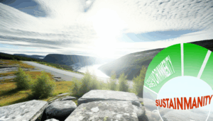 Melaksanakan Tips Minimalisme  demi Planet Yang Lebih Lebih Baik: Langkah Kecil Menuju Revolusi Yang Besar